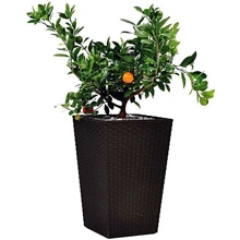 Горщик для квітів Keter Large Rattan Planter коричневий 145 л: Виробник Keter