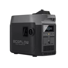 Инверторный бензиновый генератор EcoFlow Smart Generator (GasEB-EU): Тип электростанции бензиновый