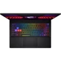 Ноутбук MSI Sword 17 HX B14V (B14VFKG-020XPL): Экран 17 " (2560x1600)