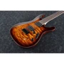 Електрогітара IBANEZ S621QM DEB: Кількість струн 6