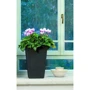 Горшок для растений Keter Small Rattan Planter Коричневый (7290103659257): Производитель Keter