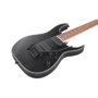 Електрогітара IBANEZ RG7420EX BKF: Тип Электрогитара