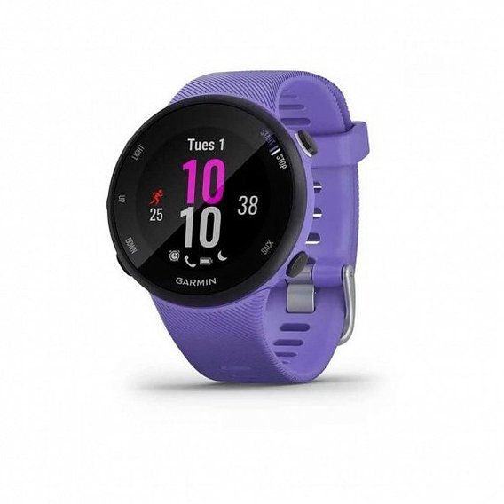 Garmin Forerunner 45s Iris