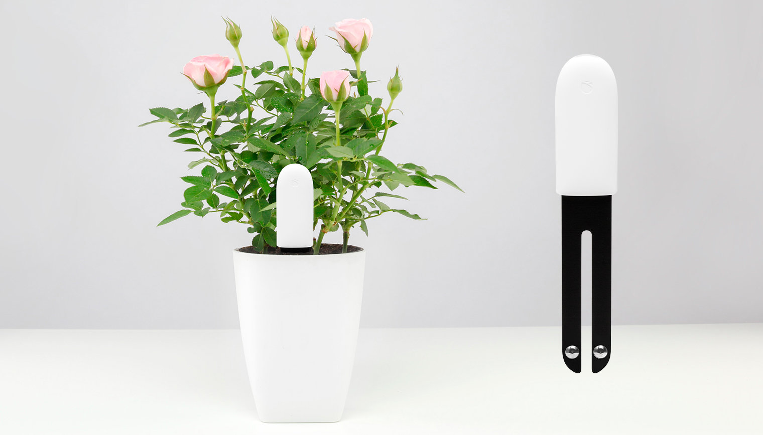 Smart Flower and Plant Monitor