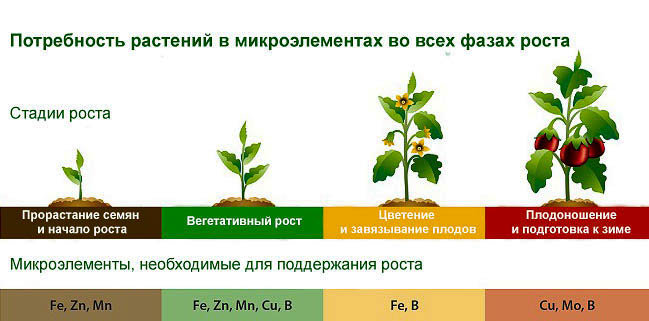 микроудобрения