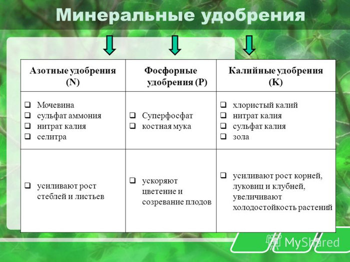 минеральные удобрения