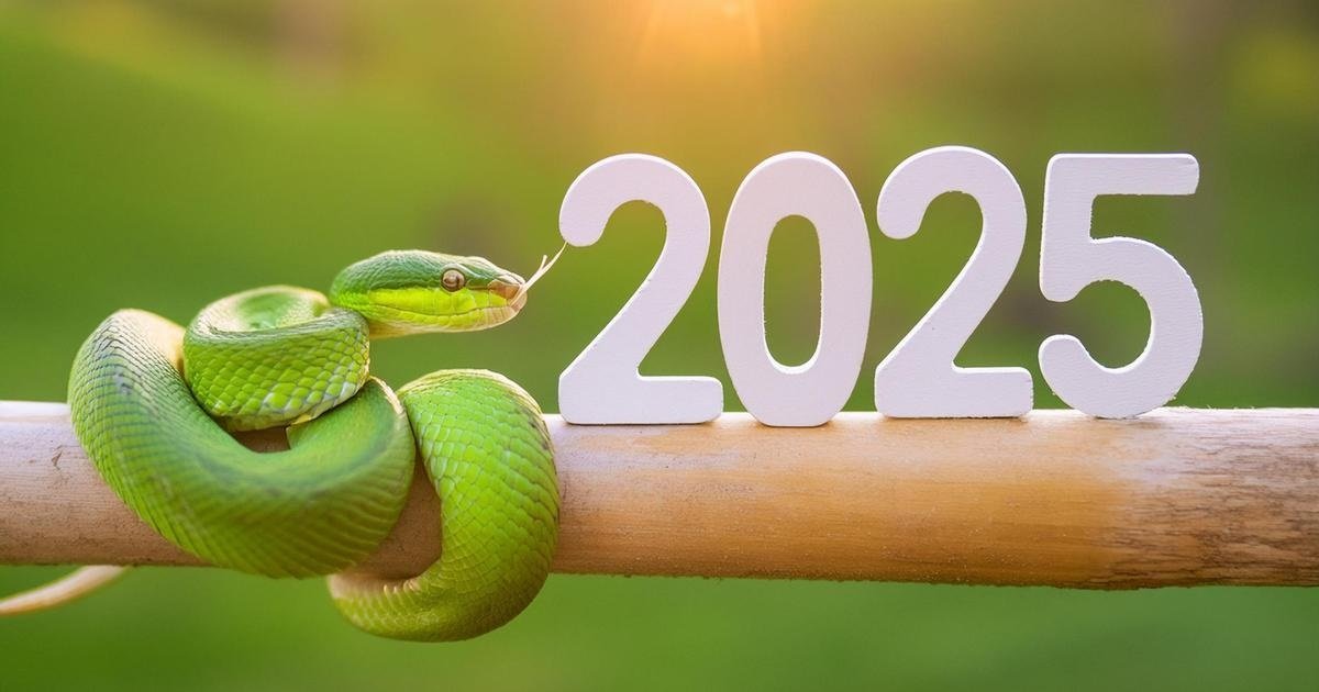 2025 год — год Деревянной Зеленой Змеи