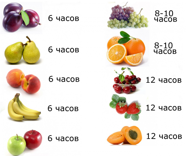 Что можно приготовить в сушилке для овощей