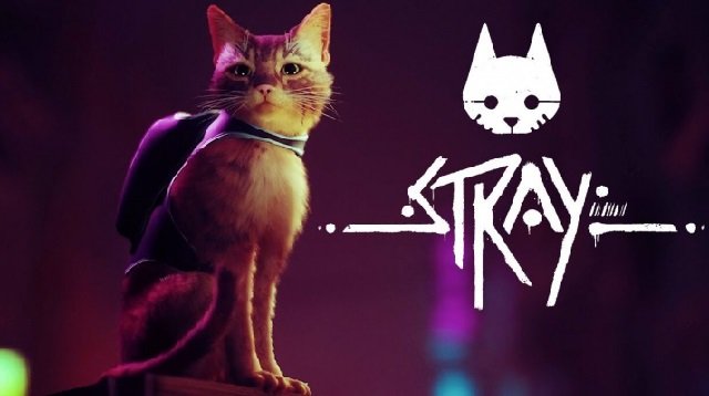 Stray