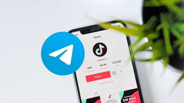 Скачать видео с TikTok с помощью бота в Telegram
