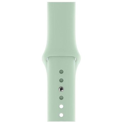 apple watch band 40mm beryl