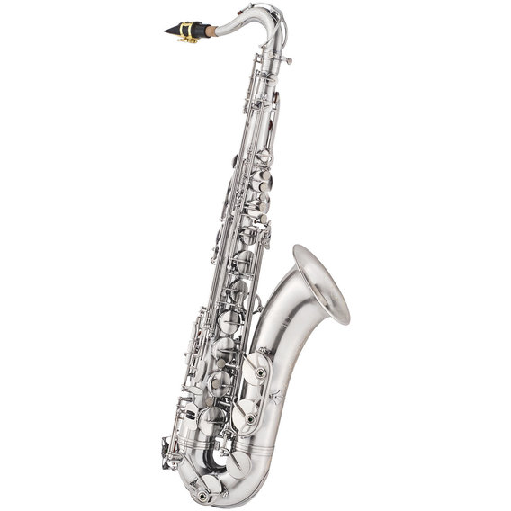 Tenor Saksofon J Michael Tn 1100sl S Tenor Saxophone Kupit Ceny V Ukraine Kieve Harkove Dnepre Odesse Lvove Stylus